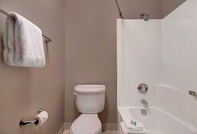 اتاق استاندارد با 2 تخت دوبل, Baymont By Wyndham Detroit Airport/romulus