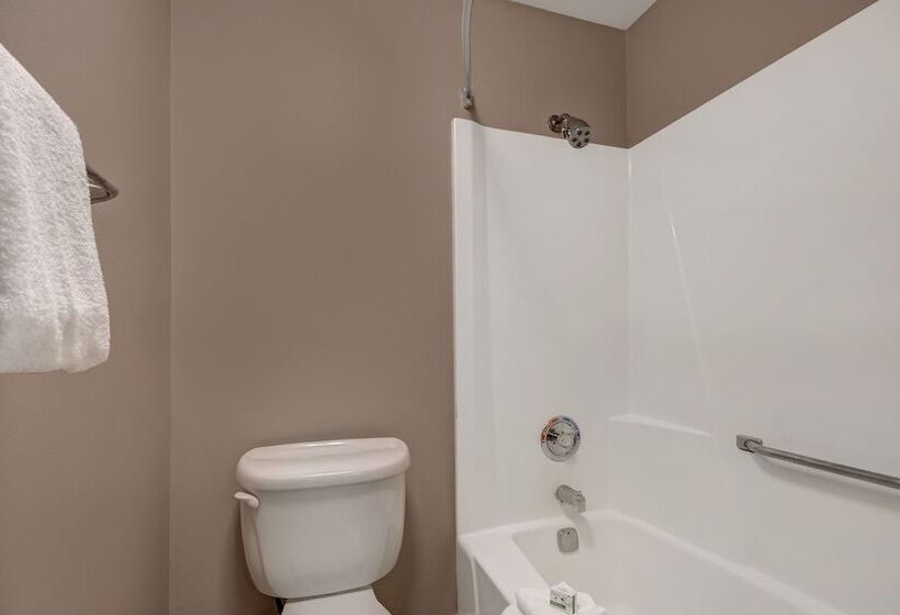 اتاق استاندارد با 2 تخت دوبل, Baymont By Wyndham Detroit Airport/romulus