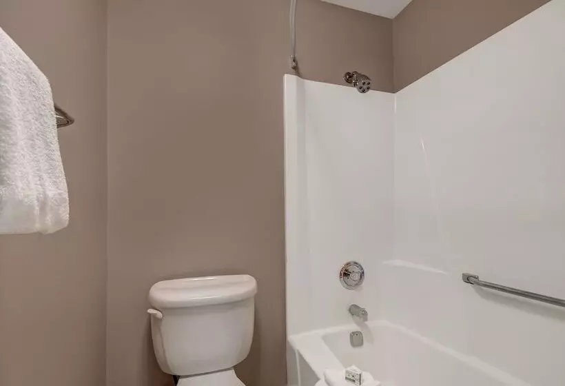 اتاق استاندارد با 2 تخت دوبل, Baymont By Wyndham Detroit Airport/romulus