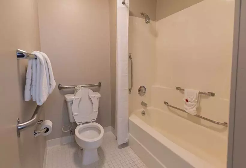 اتاق استاندارد برای معلولان, Baymont By Wyndham Detroit Airport/romulus