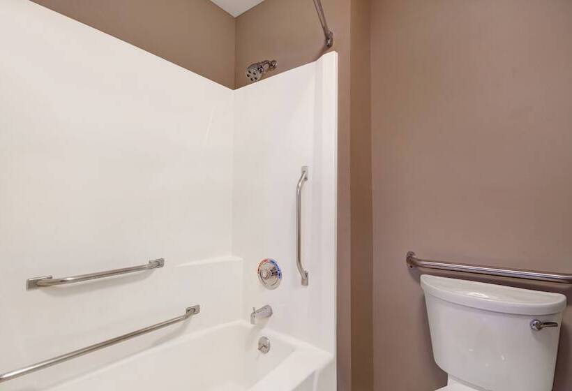 장애인을 위한 스탠다드 룸, Baymont By Wyndham Detroit Airport/romulus