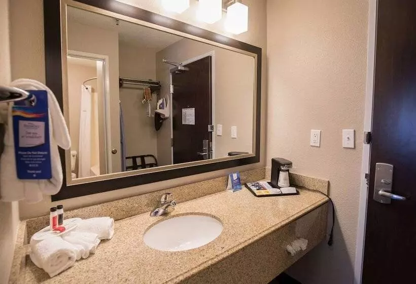 اتاق استاندارد برای معلولان, Baymont By Wyndham Detroit Airport/romulus