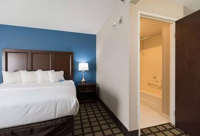 اتاق استاندارد برای معلولان, Baymont By Wyndham Detroit Airport/romulus