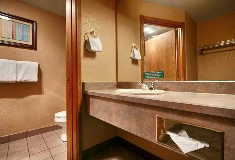 اتاق استاندارد با تخت بزرگ, Best Western Plus Bayshore Inn