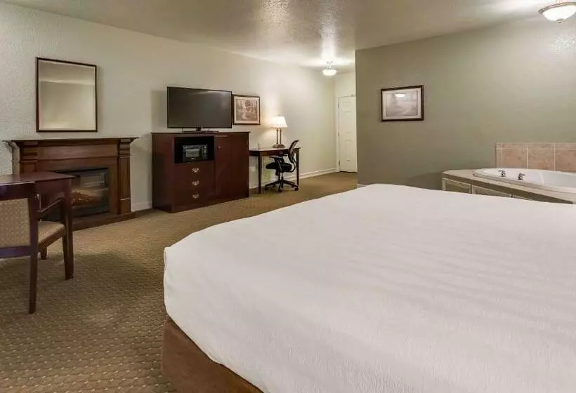 اتاق استاندارد با تخت بزرگ, Best Western Plus Bayshore Inn