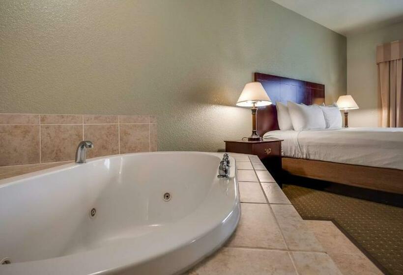 غرفة قياسية سرير كينج, Best Western Plus Bayshore Inn