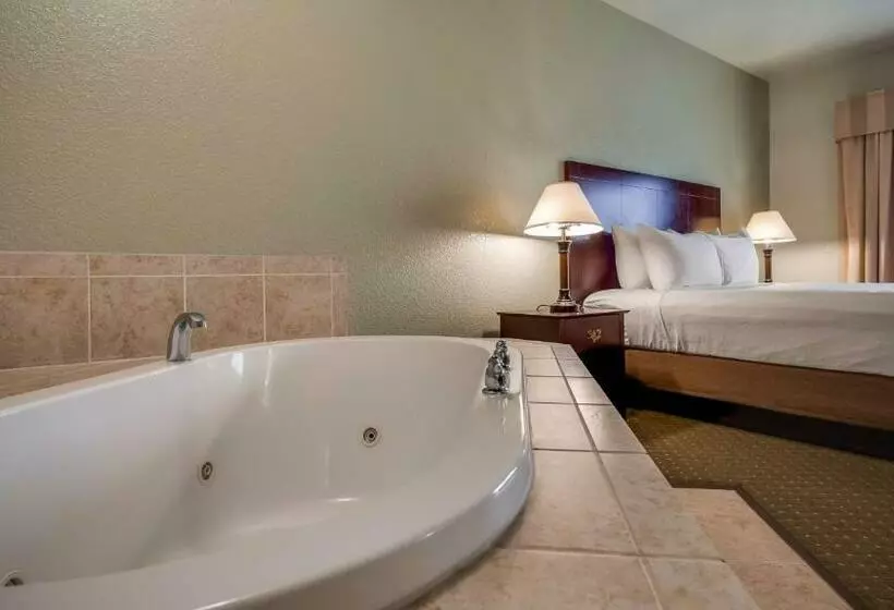 اتاق استاندارد با تخت بزرگ, Best Western Plus Bayshore Inn