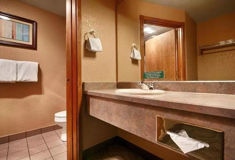 اتاق استاندارد برای معلولان, Best Western Plus Bayshore Inn