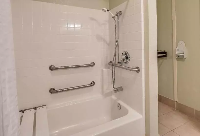 اتاق استاندارد با تخت بزرگ برای معلولان, Best Western Plus Bayshore Inn