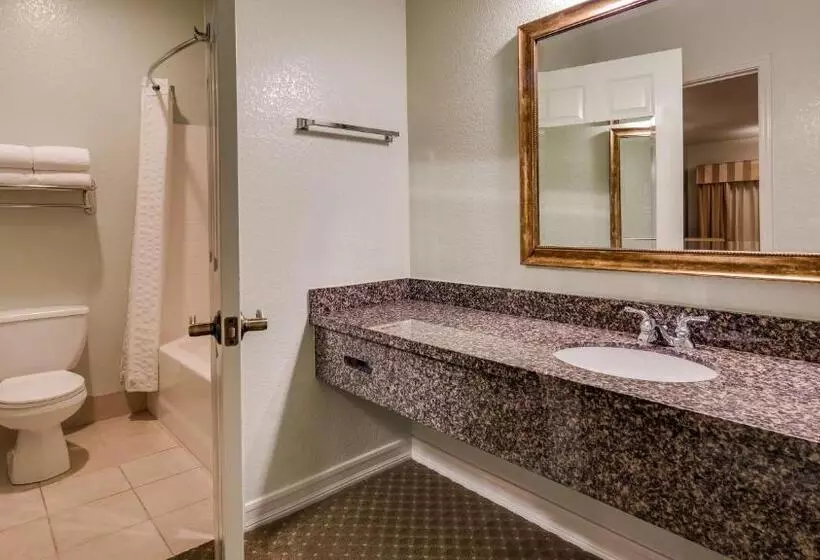 اتاق استاندارد با تخت بزرگ برای معلولان, Best Western Plus Bayshore Inn