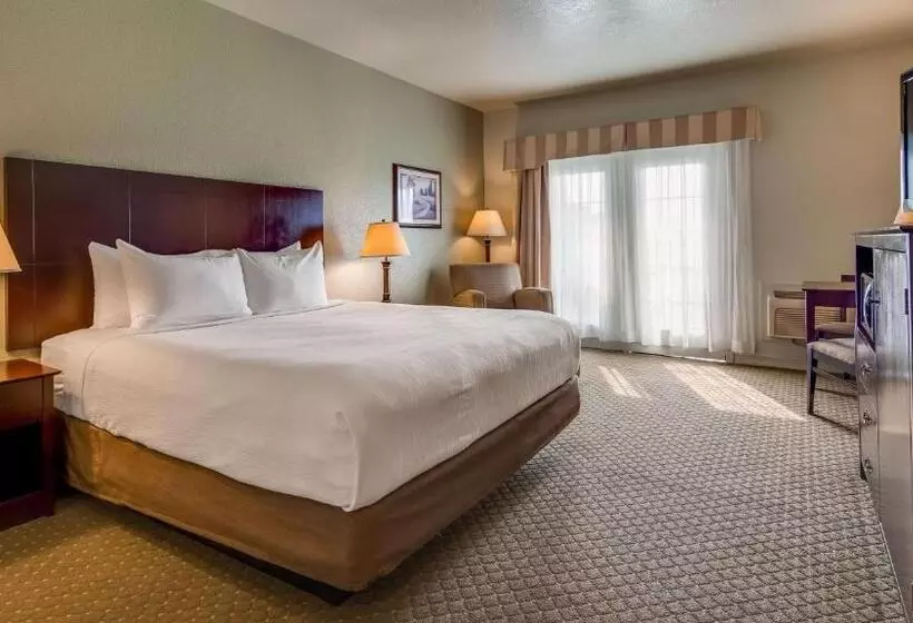 اتاق استاندارد با تخت بزرگ برای معلولان, Best Western Plus Bayshore Inn