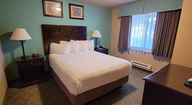 جناح, Best Western Plus Bayshore Inn