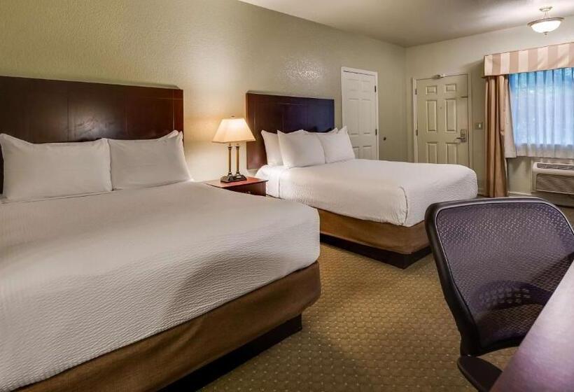 스탠다드 룸, Best Western Plus Bayshore Inn