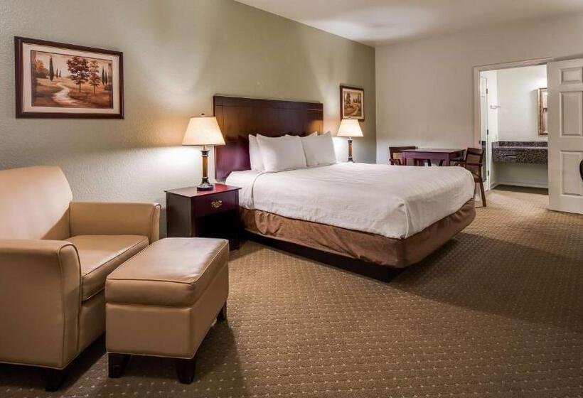 غرفة قياسية سرير كينج, Best Western Plus Bayshore Inn