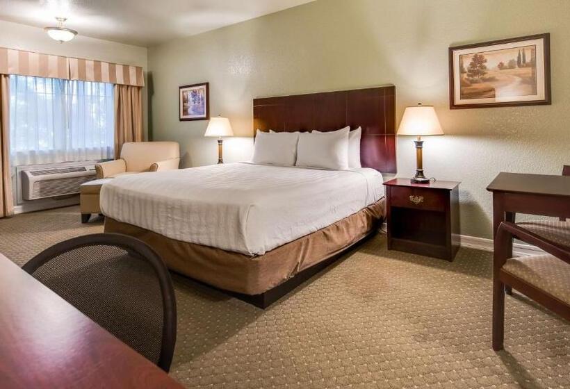 غرفة قياسية سرير كينج, Best Western Plus Bayshore Inn