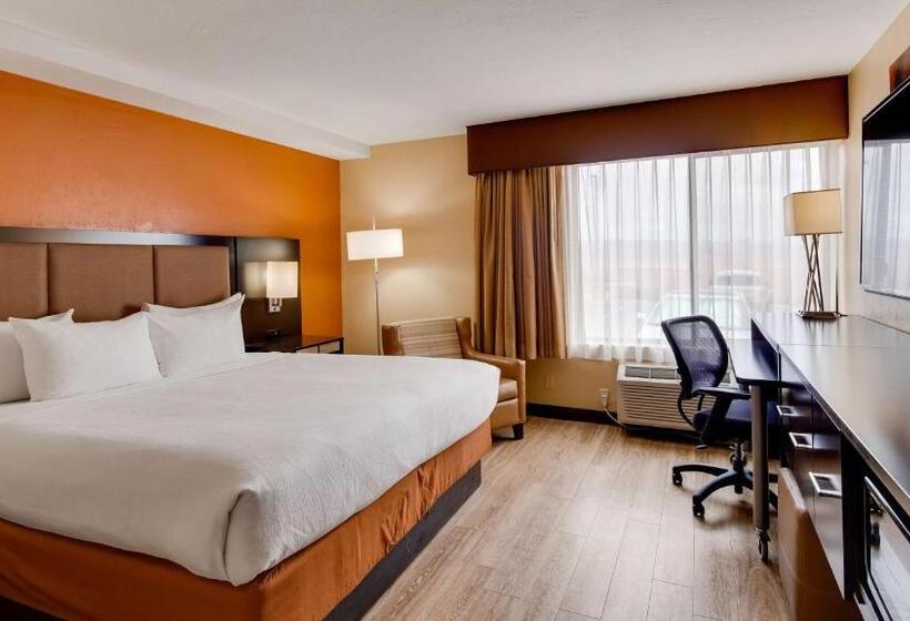 غرفة قياسية سرير كينج, Best Western View Of Lake Powell