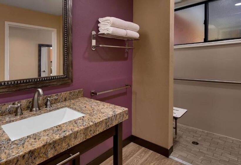 غرفة قياسية سرير كينج, Best Western View Of Lake Powell