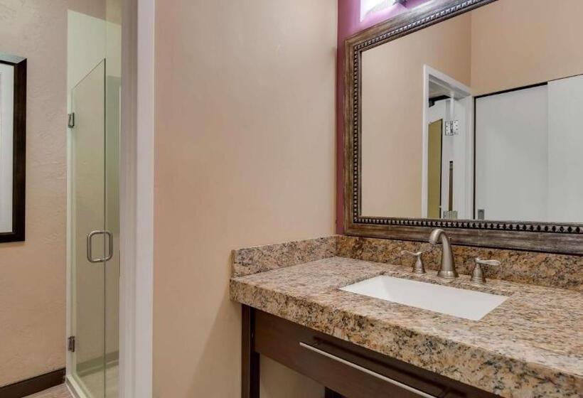 غرفة قياسية لذوى الاحتياجات الخاصة, Best Western View Of Lake Powell