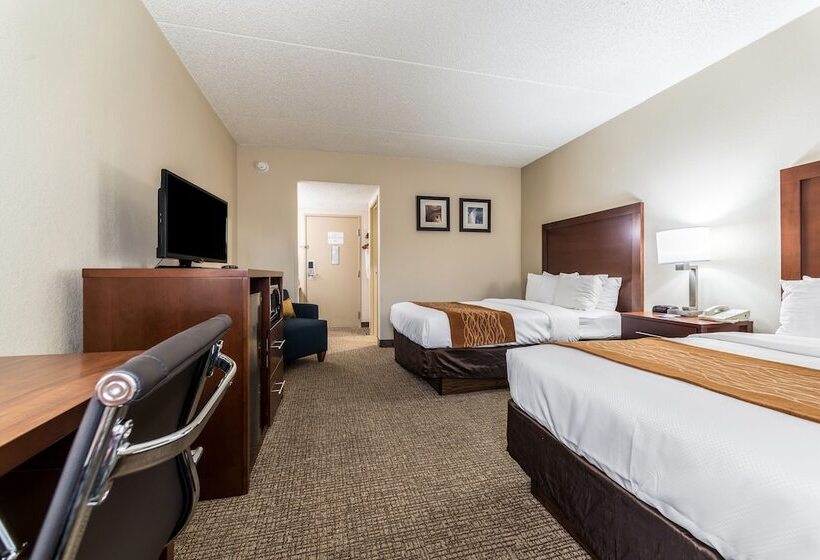 סוויטה, Comfort Inn Festusst. Louis South