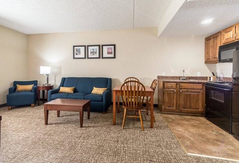 Люкс, Comfort Inn Festusst. Louis South
