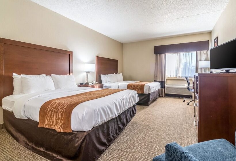 סוויטה, Comfort Inn Festusst. Louis South