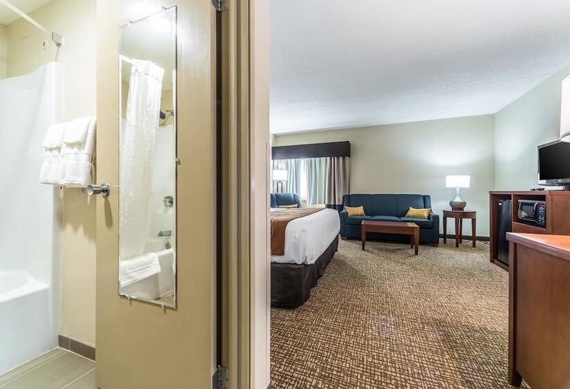 סוויטה, Comfort Inn Festusst. Louis South