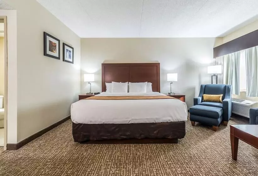 キングサイズベッドのスイートルーム, Comfort Inn Festusst. Louis South