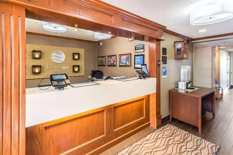 キングサイズベッドのスタンダードルーム, Comfort Inn Festusst. Louis South