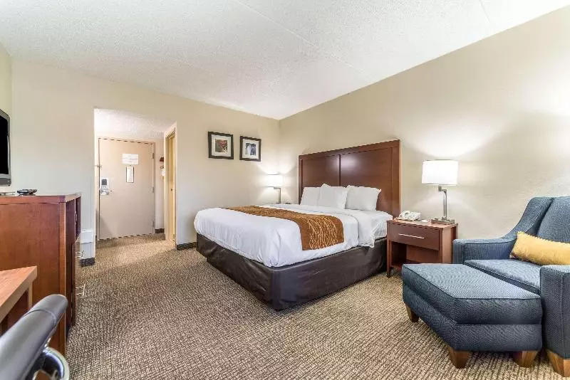 キングサイズベッドのスタンダードルーム, Comfort Inn Festusst. Louis South
