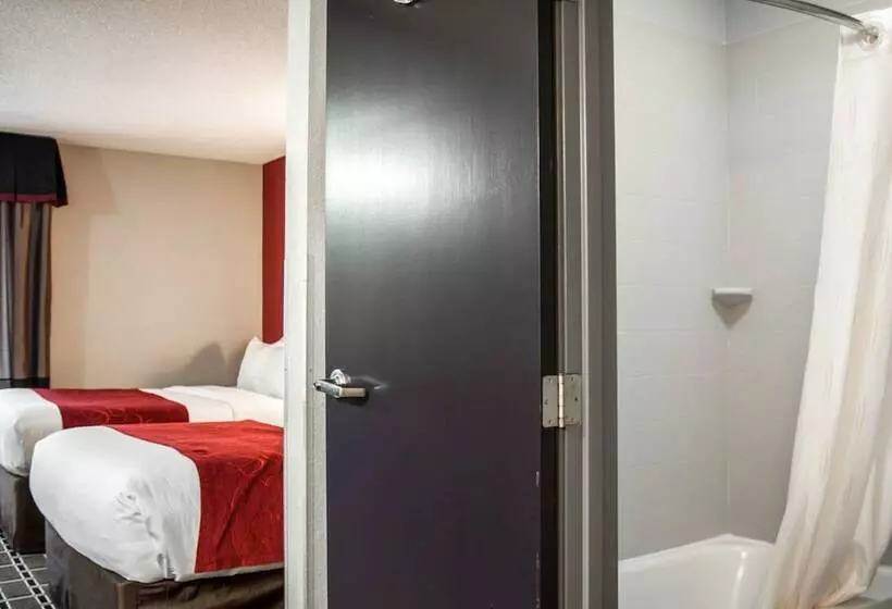 スイート, Comfort Suites Nashville Airport   Bna