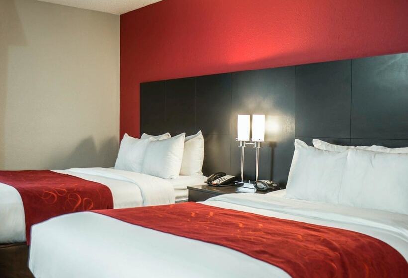 スイート, Comfort Suites Nashville Airport Bna