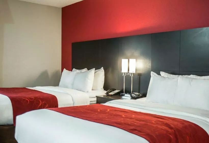 スイート, Comfort Suites Nashville Airport   Bna
