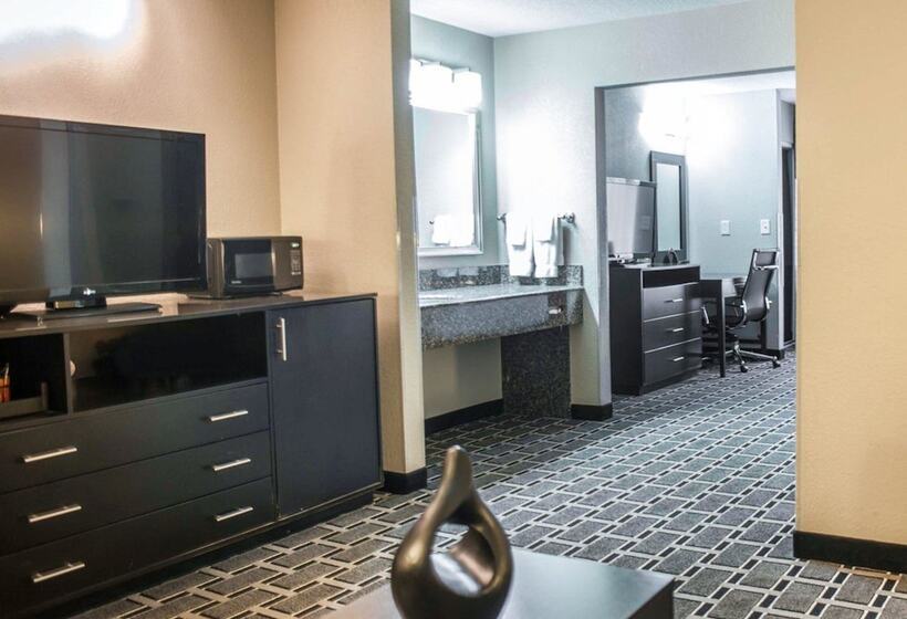 スイート, Comfort Suites Nashville Airport Bna