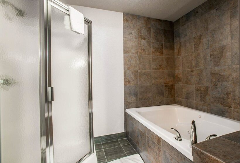 Süit, Comfort Suites Nashville Airport   Bna