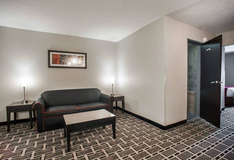 スイート, Comfort Suites Nashville Airport Bna