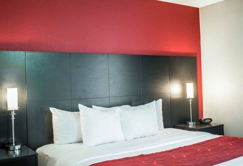 スイート, Comfort Suites Nashville Airport Bna