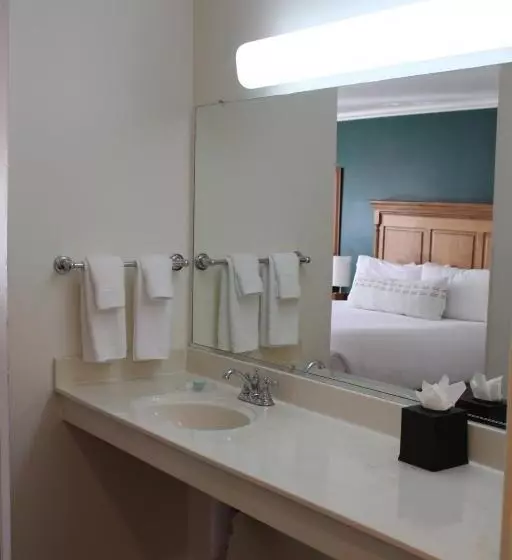اتاق استاندارد با تخت بزرگ برای معلولان, Elm House Inn