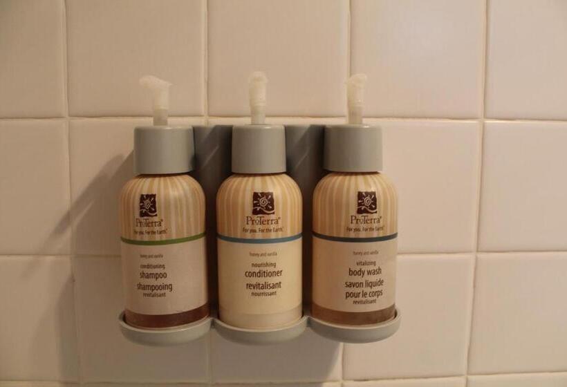 Номер Стандарт Кровать Кинг Адаптированный для Инвалидов, Elm House Inn