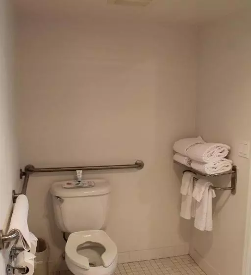 اتاق استاندارد با تخت بزرگ برای معلولان, Elm House Inn