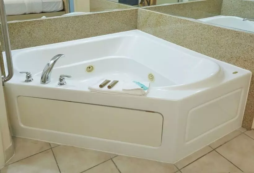 اتاق سوپریور با وان آب گرم, Ramada By Wyndham Flamingo Water Park
