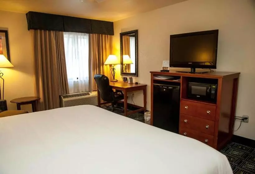 キングサイズベッドのスタンダードルーム, Holiday Inn Express Tucson Airport, An Ihg