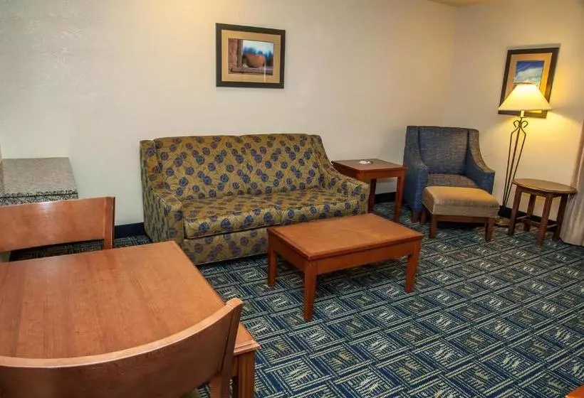 キングサイズベッドのスタンダードルーム, Holiday Inn Express Tucson Airport, An Ihg