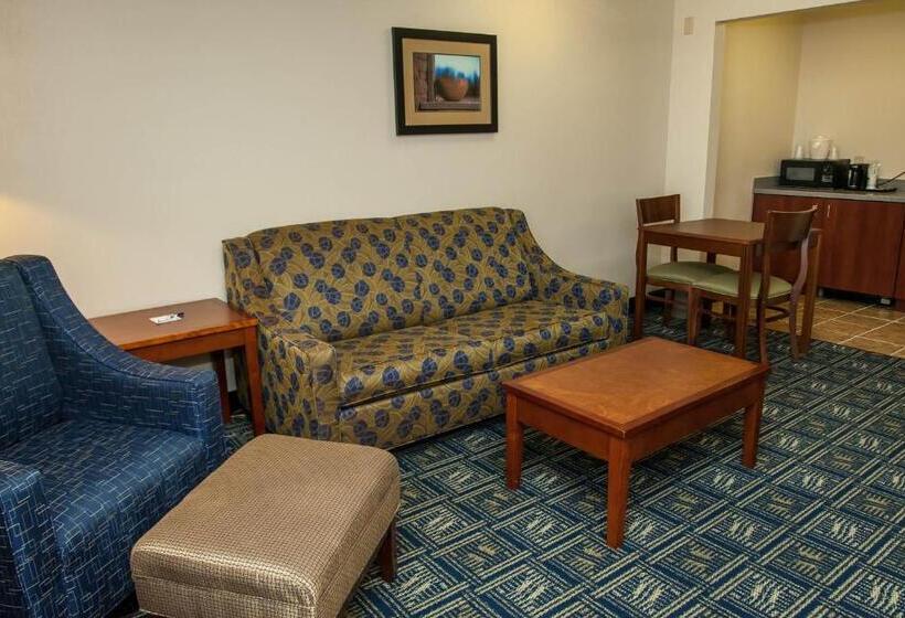 اتاق استاندارد با تخت بزرگ, Holiday Inn Express Tucson Airport, An Ihg