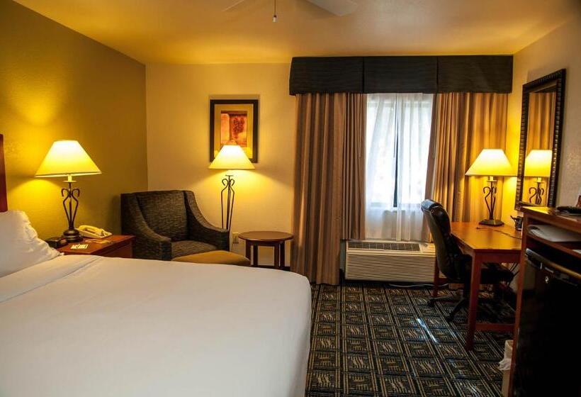 스탠다드 룸 킹사이즈 침대, Holiday Inn Express Tucson Airport, An Ihg