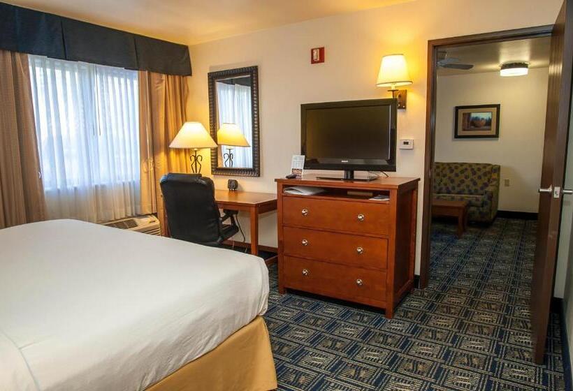 اتاق استاندارد با تخت بزرگ, Holiday Inn Express Tucson Airport, An Ihg