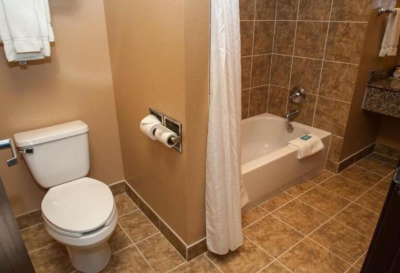 اتاق استاندارد با تخت بزرگ, Holiday Inn Express Tucson Airport, An Ihg