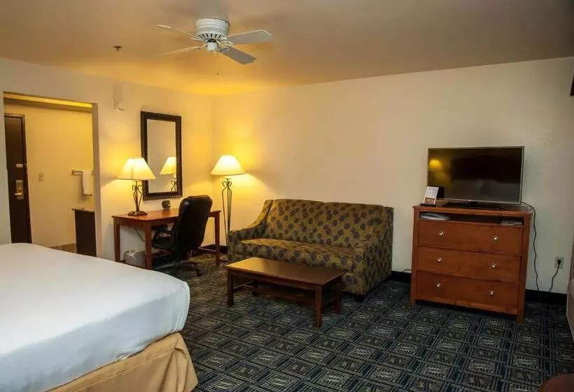 キングサイズベッドのエクゼクティブルーム, Holiday Inn Express Tucson Airport, An Ihg