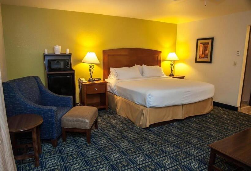 اتاق اجرایی با تخت بزرگ, Holiday Inn Express Tucson Airport, An Ihg