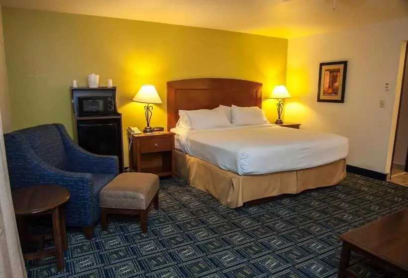 キングサイズベッドのエクゼクティブルーム, Holiday Inn Express Tucson Airport, An Ihg