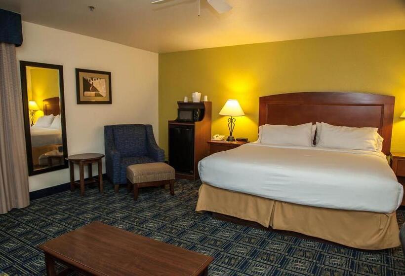 이그제큐티브 룸 킹사이즈 침대, Holiday Inn Express Tucson Airport, An Ihg
